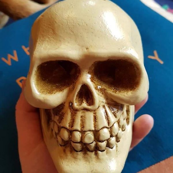 69849973_2082657355375995_1199517716470300672_n