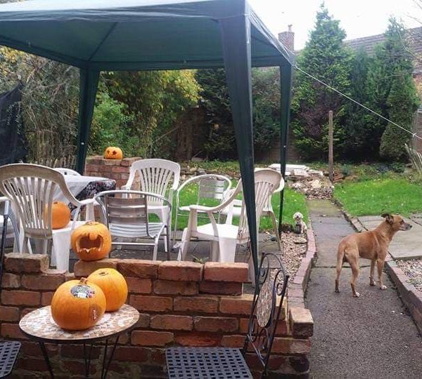 69992794_526058731474794_8374562975905742848_n