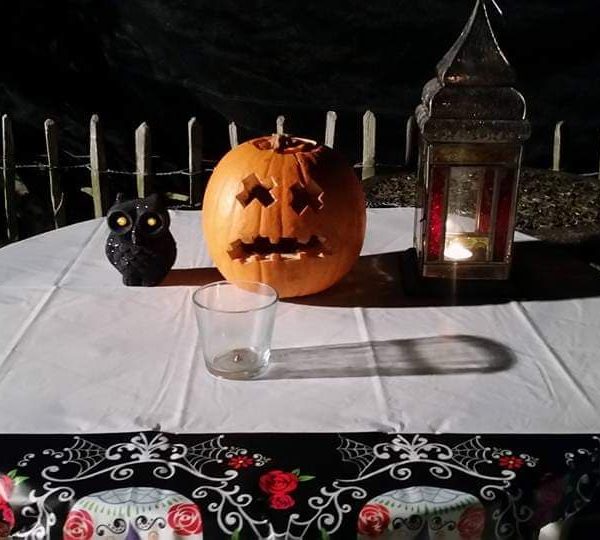 70113011_337977670238191_6708056957149773824_n