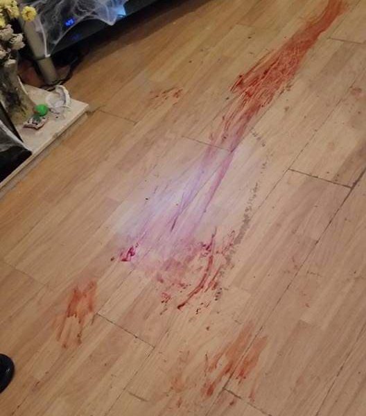 70355738_1377577762393782_5318233530466041856_n