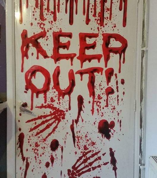 70553457_353447782225476_4144792836782424064_n