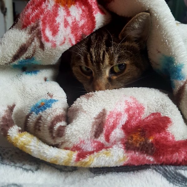 28755272_10212920966911333_1162948064_o