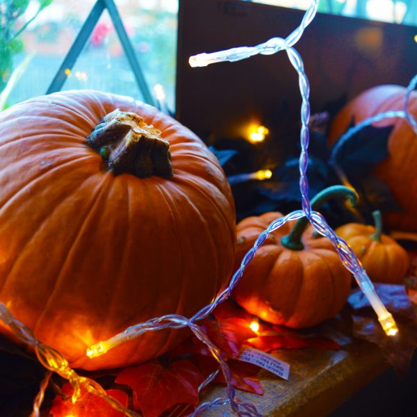 Pumpkin Window Ledge
