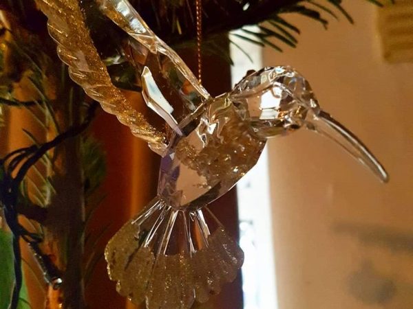 77265649_849805332089140_5933408460845613056_n